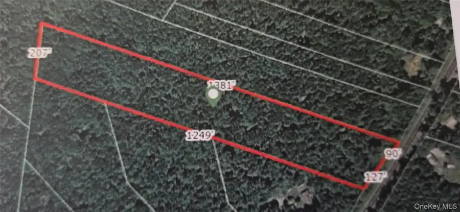 Lot 6 Nys 52, Narrowsburg, NY 12764 - #2