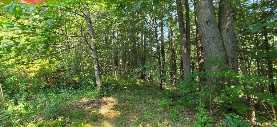 Lot 6 Nys 52, Narrowsburg, NY 12764 - #3