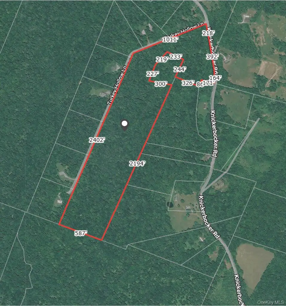 Knickerbocker Road, Livingston Manor, NY 12758 - #1