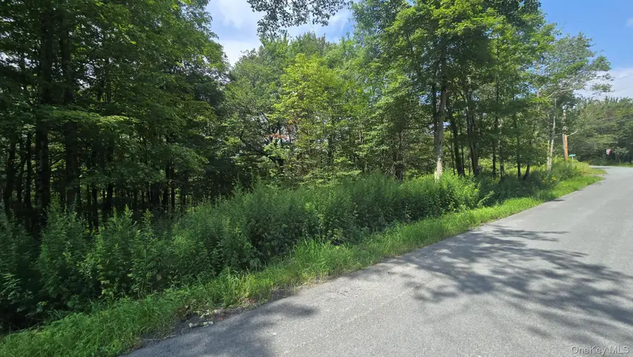 Knickerbocker Road, Livingston Manor, NY 12758 - #2