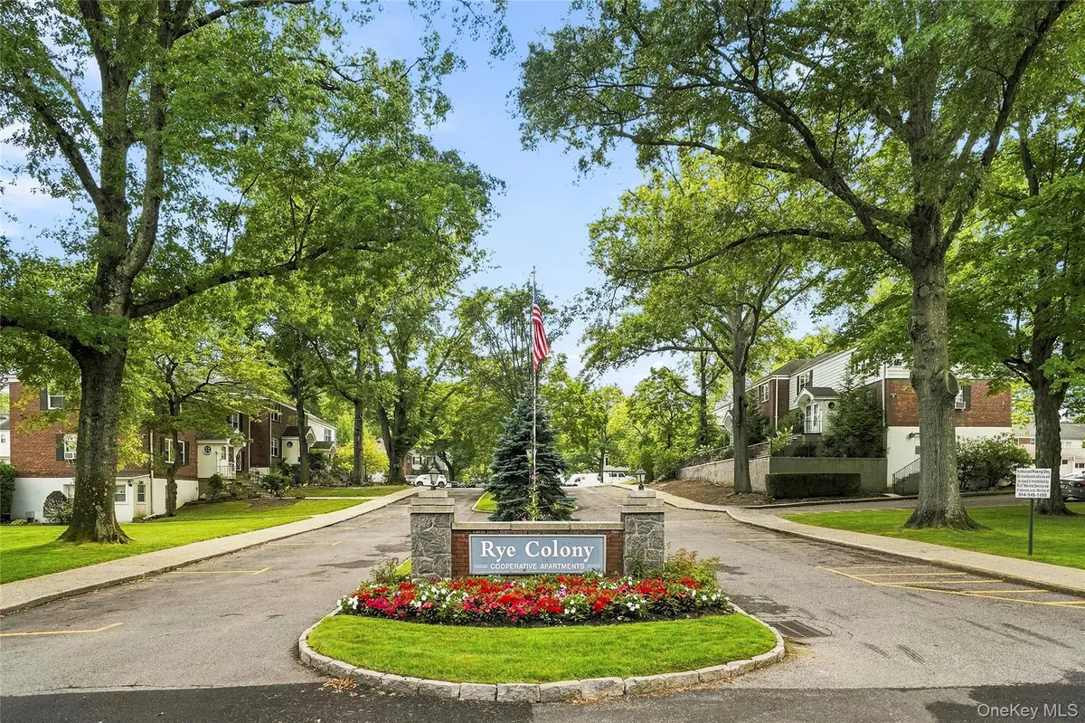 3 Peck Avenue #311A, Rye, NY 10580 - #1
