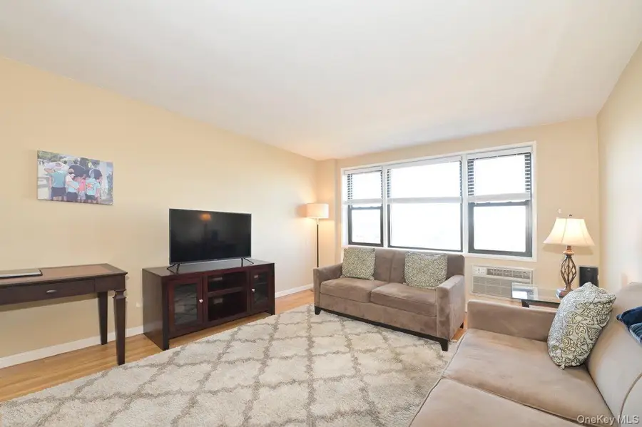 2 Birchwood Court #5H, Mineola, NY 11501 - #2