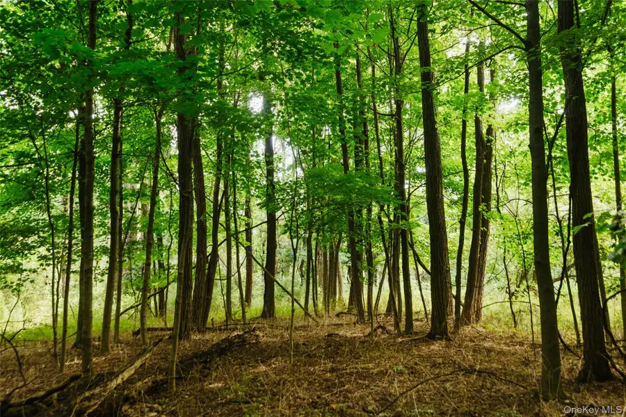 Plattekill Ardonia Road, Wallkill, NY 12589 - #3