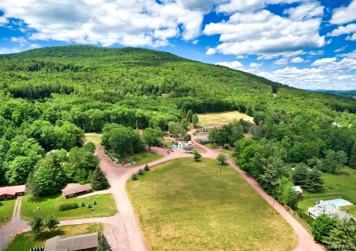 226 State Route 296, Windham, NY 12496 - #1