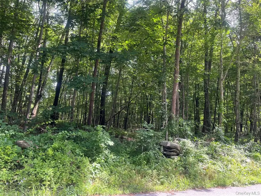 34 Mcmanus Road S, Patterson, NY 12563 - #3
