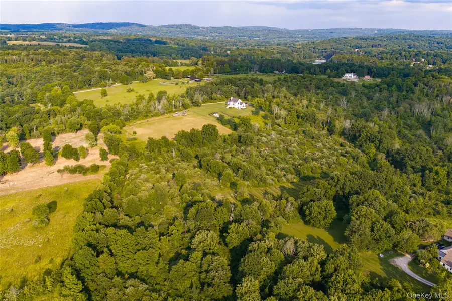 Sharon Turnpike, Millbrook, NY 12545 - #3