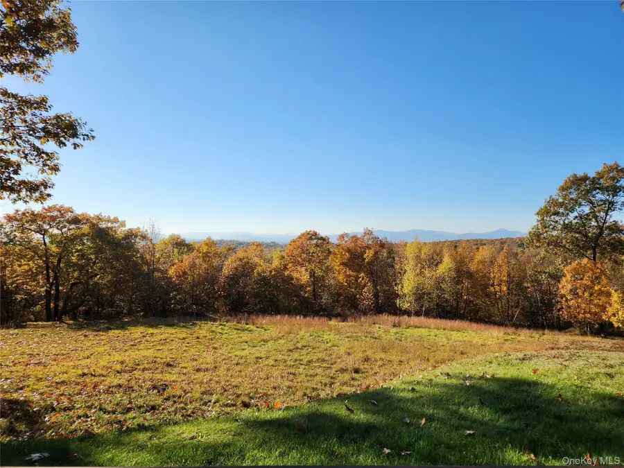 Willow Glen Road, Red Hook, NY 12571 - #3
