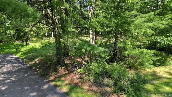 36 Spruce Street W, Wurtsboro, NY 12790