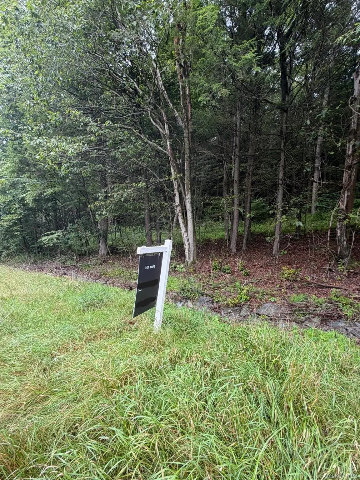 0 State Highway 97, Hancock, NY 13783 - #1