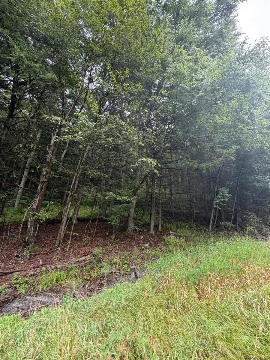 0 State Highway 97, Hancock, NY 13783 - #2