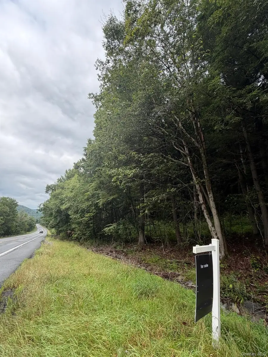 0 State Highway 97, Hancock, NY 13783 - #3