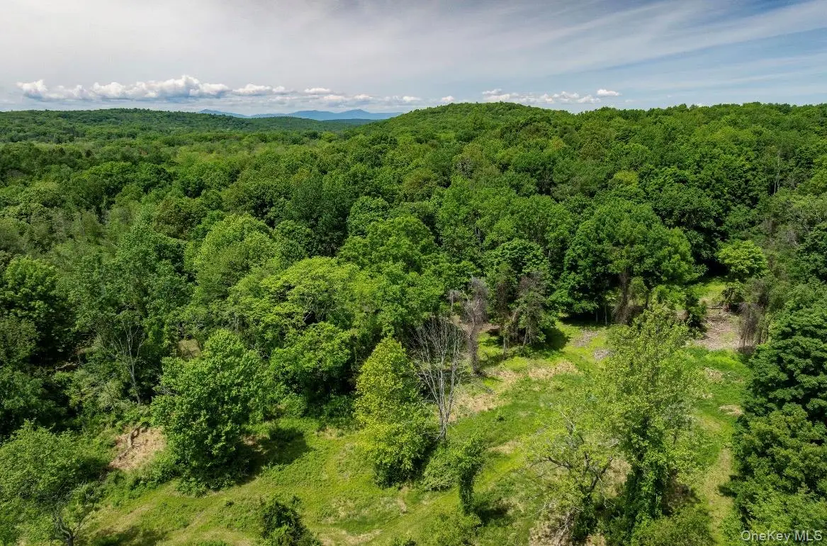 00 Route 7, Copake, NY 12516 - #1