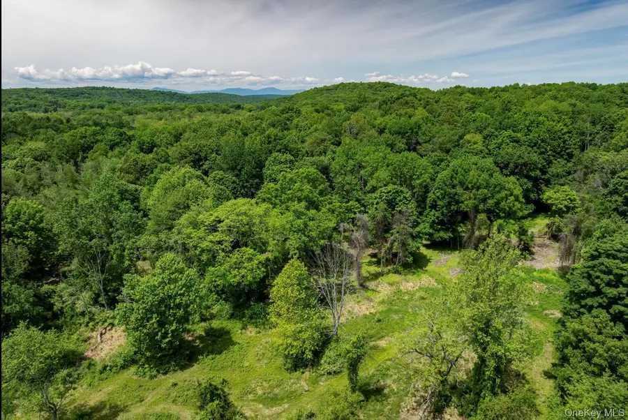 00 Route 7, Copake, NY 12516 - #2