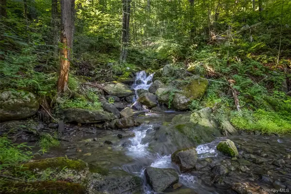 Old Plank Road, Cragsmoor, NY 12420
