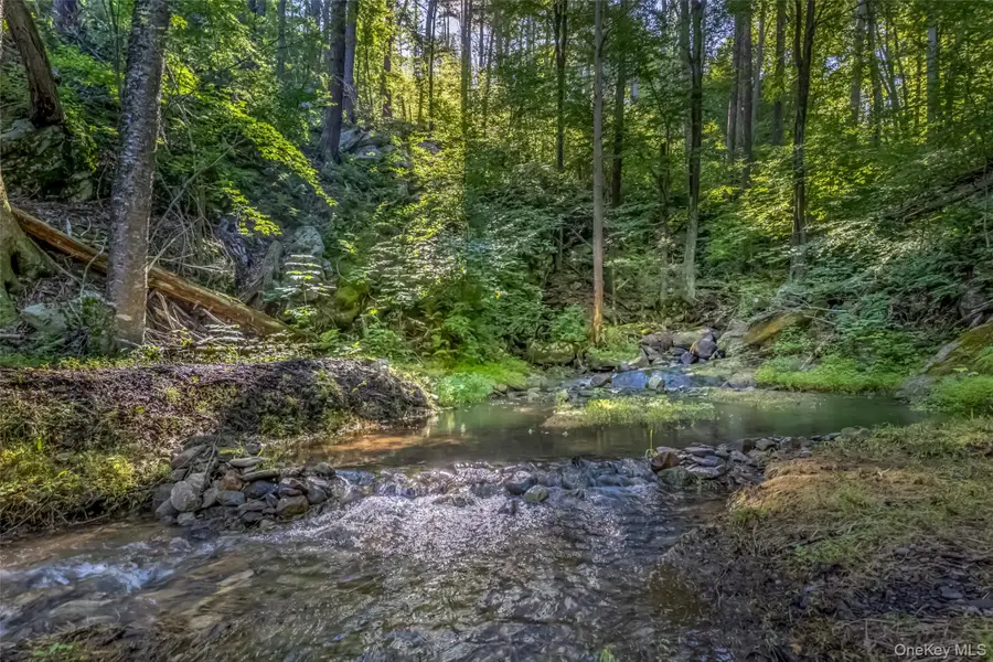 Old Plank Road, Cragsmoor, NY 12420 - #2