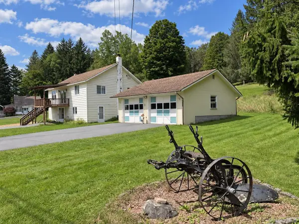 979 Debruce Road, Livingston Manor, NY 12758