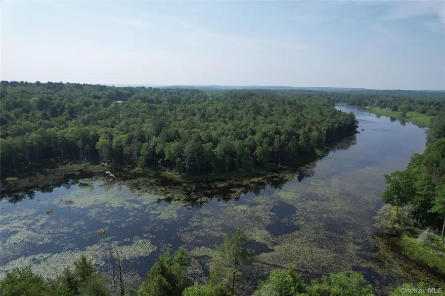 Lot 23 Deer Meadow Road, Bethel, NY 12720 - #3