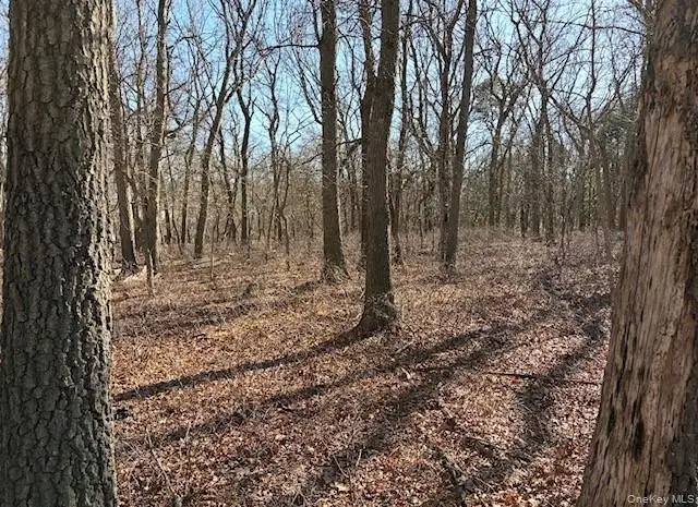Woodlot Road, Ridge, NY 11961 - #1
