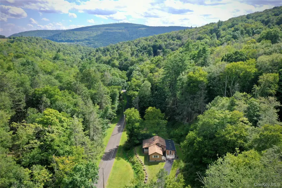 283 Pepacton Hollow Road, Grahamsville, NY 12740 - #3