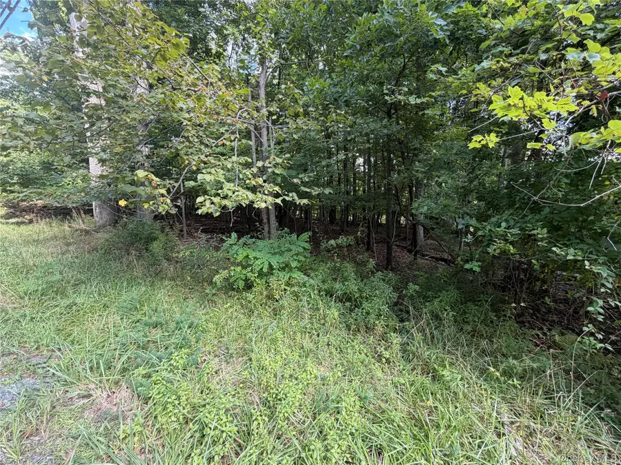Lot 20.1 Mt Prosper Road, Wurtsboro, NY 12790 - #2