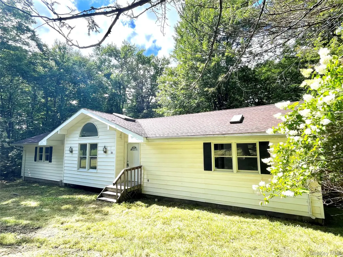 21 Browns Road, Livingston Manor, NY 12758 - #1