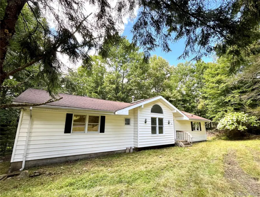 21 Browns Road, Livingston Manor, NY 12758 - #2