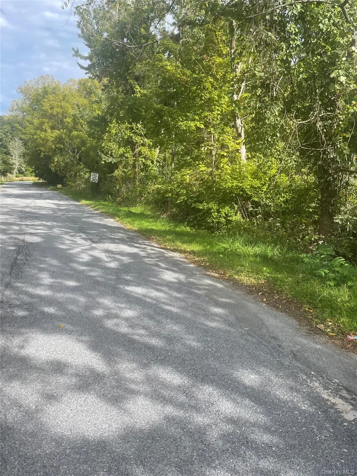 2 Big Meadow Lane, Poughkeepsie, NY 12601 - #1