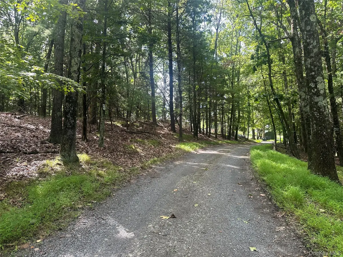 Cedar Drive, Elizaville, NY 12523 - #1
