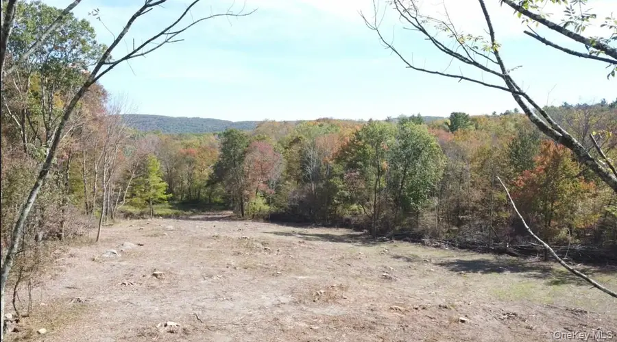 TBD W Hill Road, Austerlitz, NY 12017 - #2