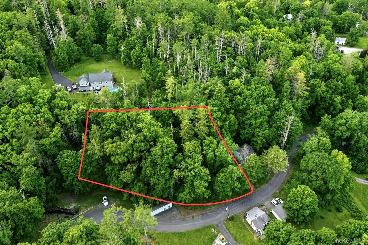 20 Wintergreen Hill Road, Kingston, NY 12401 - #1