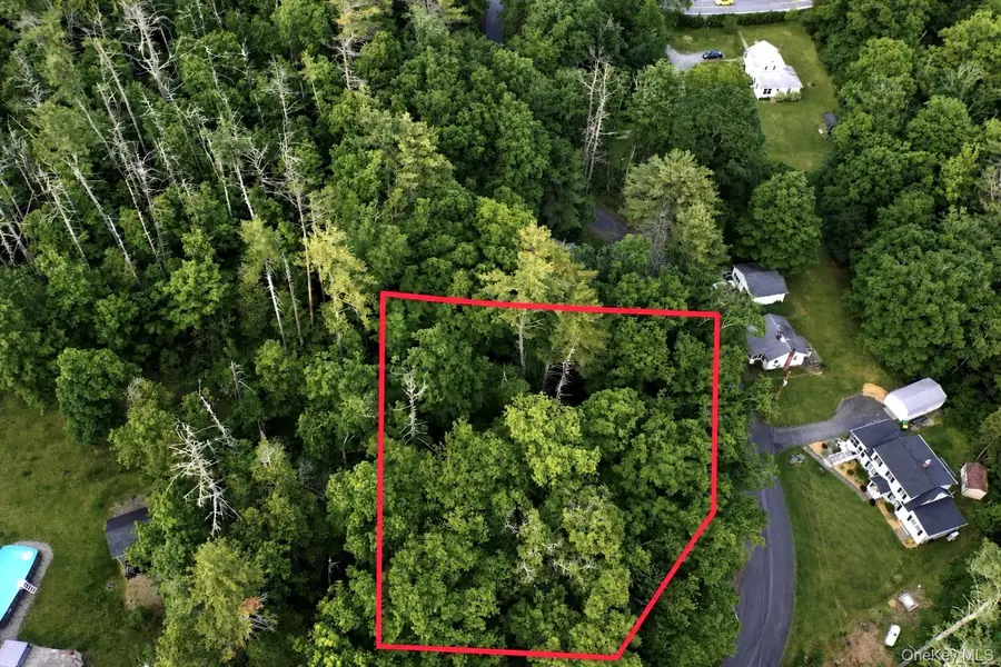 20 Wintergreen Hill Road, Kingston, NY 12401 - #2