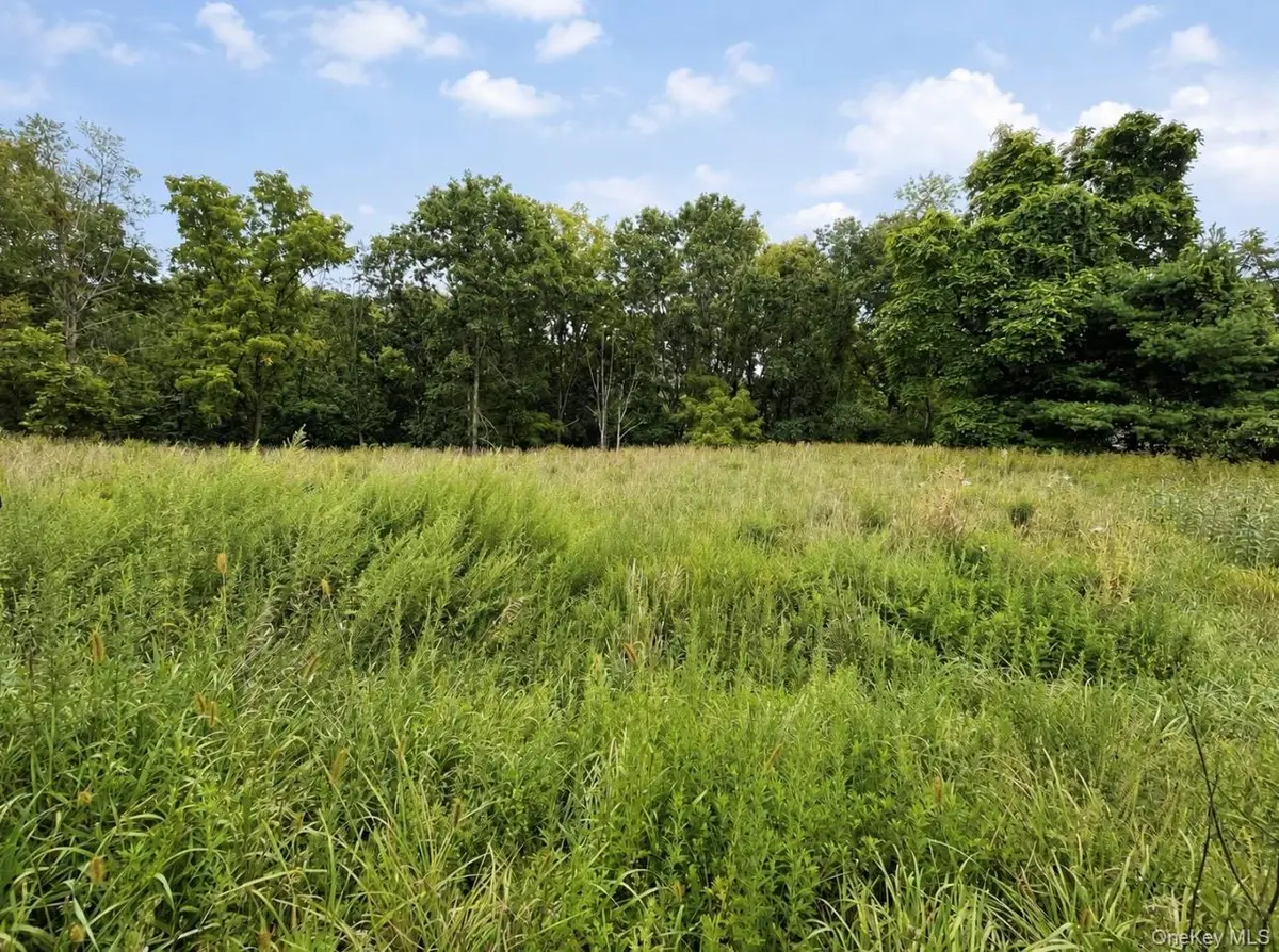 TBD Queens Highway, Accord, NY 12404 - #1