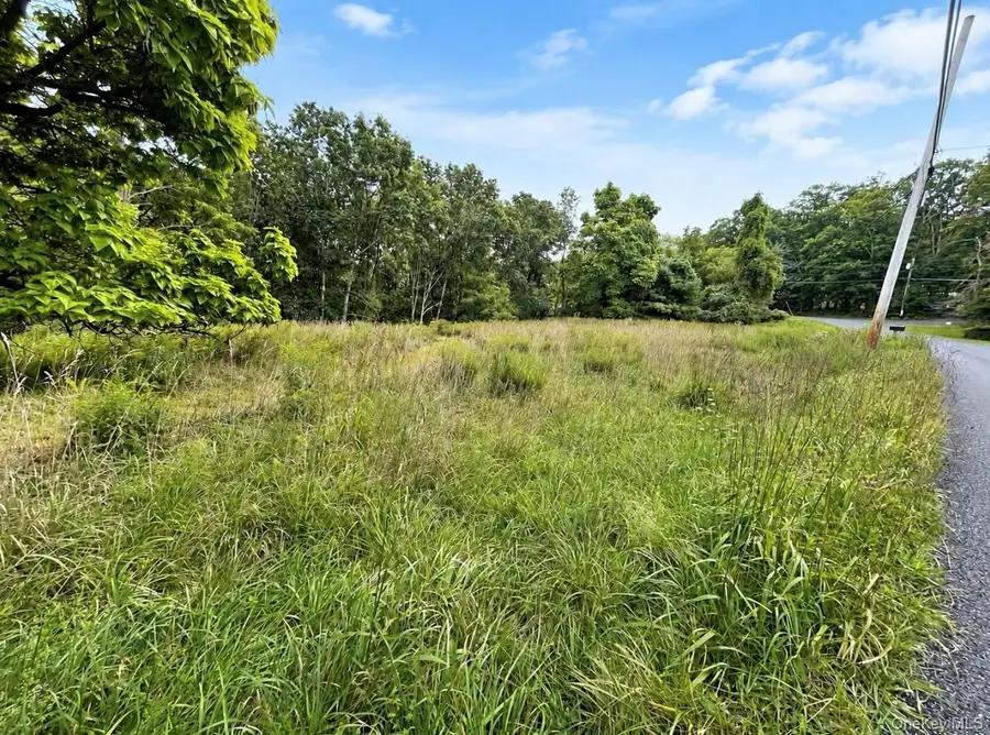 TBD Queens Highway, Accord, NY 12404 - #2