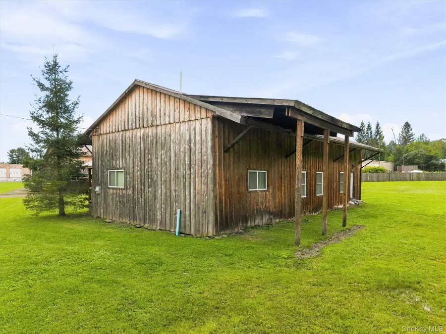 13 Creamery Road, Livingston Manor, NY 12758 - #2