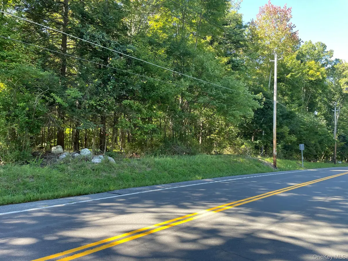 Co Rte 48, Thompson Ridge, NY 10985 - #1
