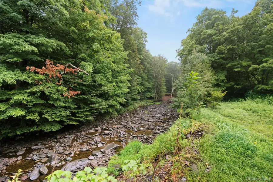 461 Winter Clove Road, Cairo, NY 12413 - #2