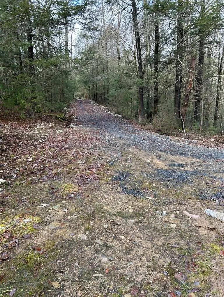 145 Brandt Road, Cuddebackville, NY 12729 - #2