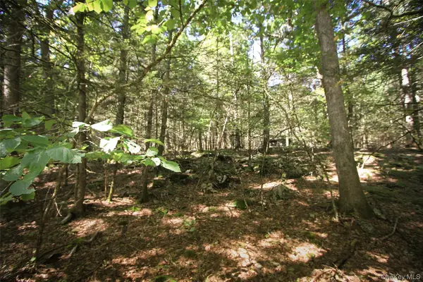 147 Dewitt Road, Accord, NY 12404