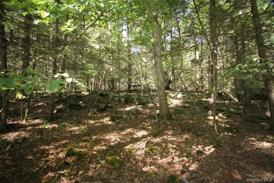 147 Dewitt Road, Accord, NY 12404 - #2