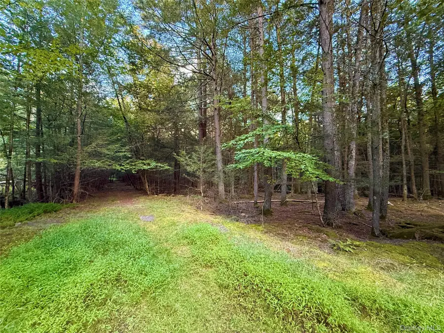 Orange Avenue, Smallwood, NY 12778 - #2