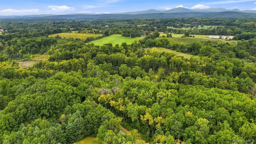 Bruceville Road, High Falls, NY 12440 - #2