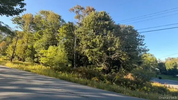 Highview Avenue, Liberty, NY 12754