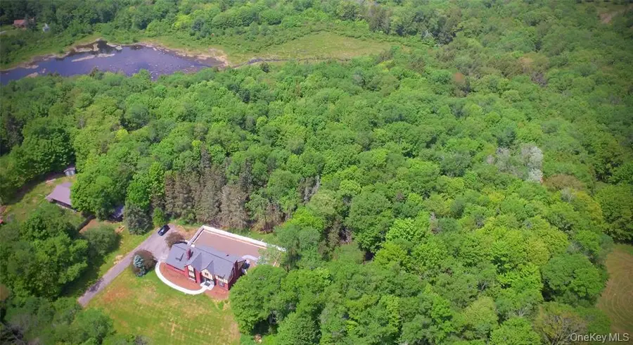 285 Goff Road, Livingston Manor, NY 12758 - #3
