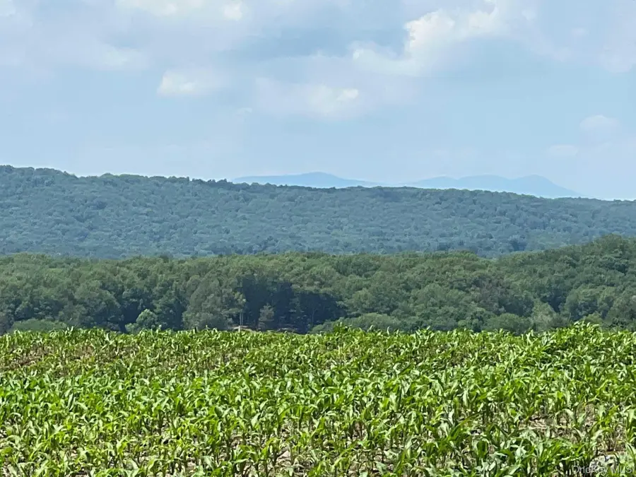 Route 82, Ancramdale, NY 12503 - #2