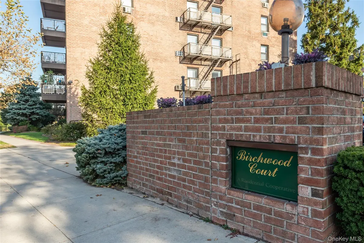 5 Birchwood Court #2-0, Mineola, NY 11501 - #1