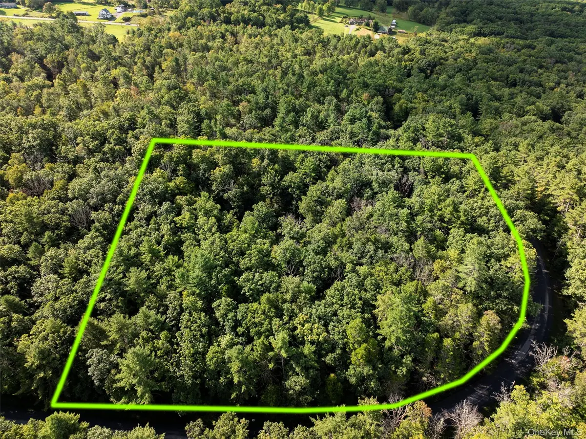 83 Perry Pond Road, Narrowsburg, NY 12764 - #1