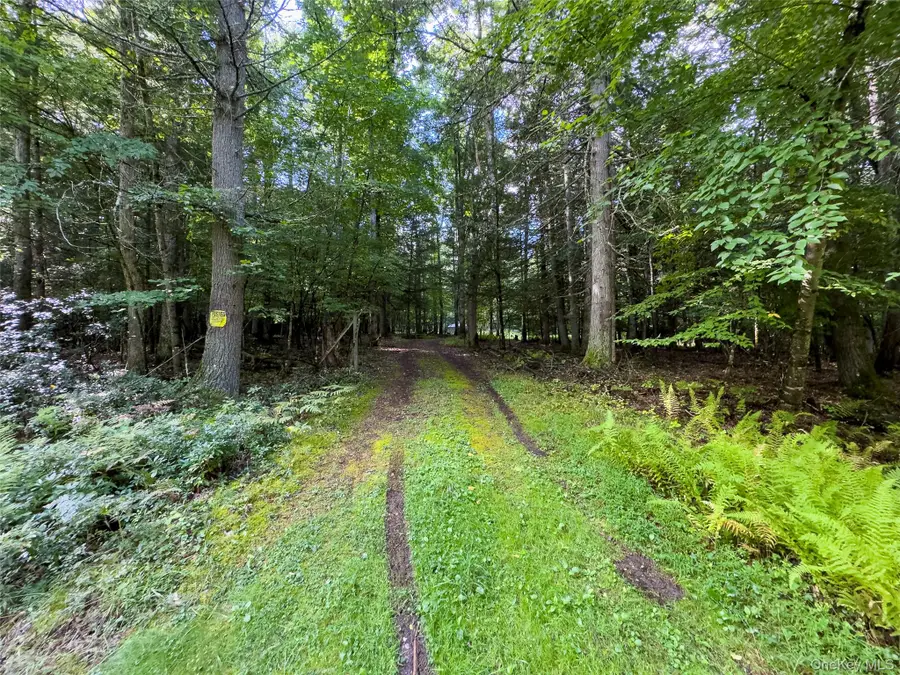 83 Perry Pond Road, Narrowsburg, NY 12764 - #3