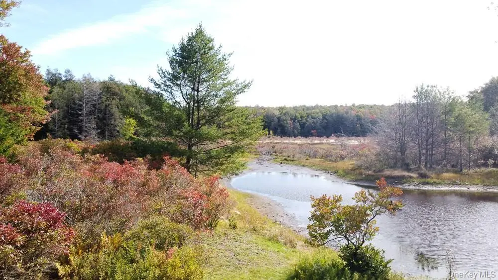 Seeman Road, Neversink, NY 12765 - #1
