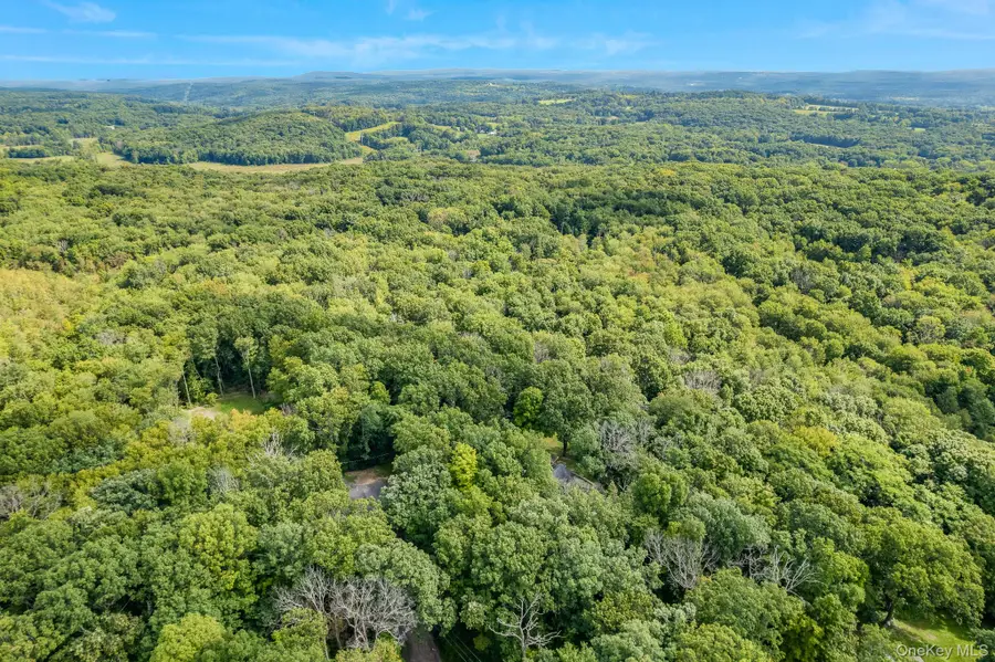Contour Lane, Salt Point, NY 12578 - #3