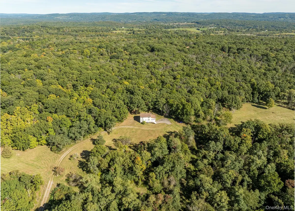 544 Willow Brook Road, Clinton Corners, NY 12514 - #1